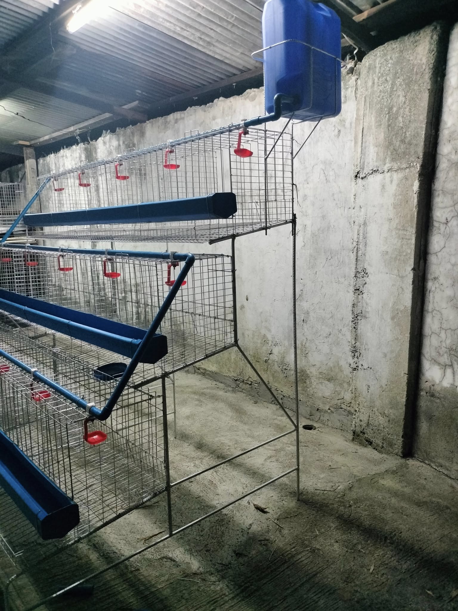 Completed Project 4